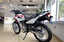 Honda XR Base