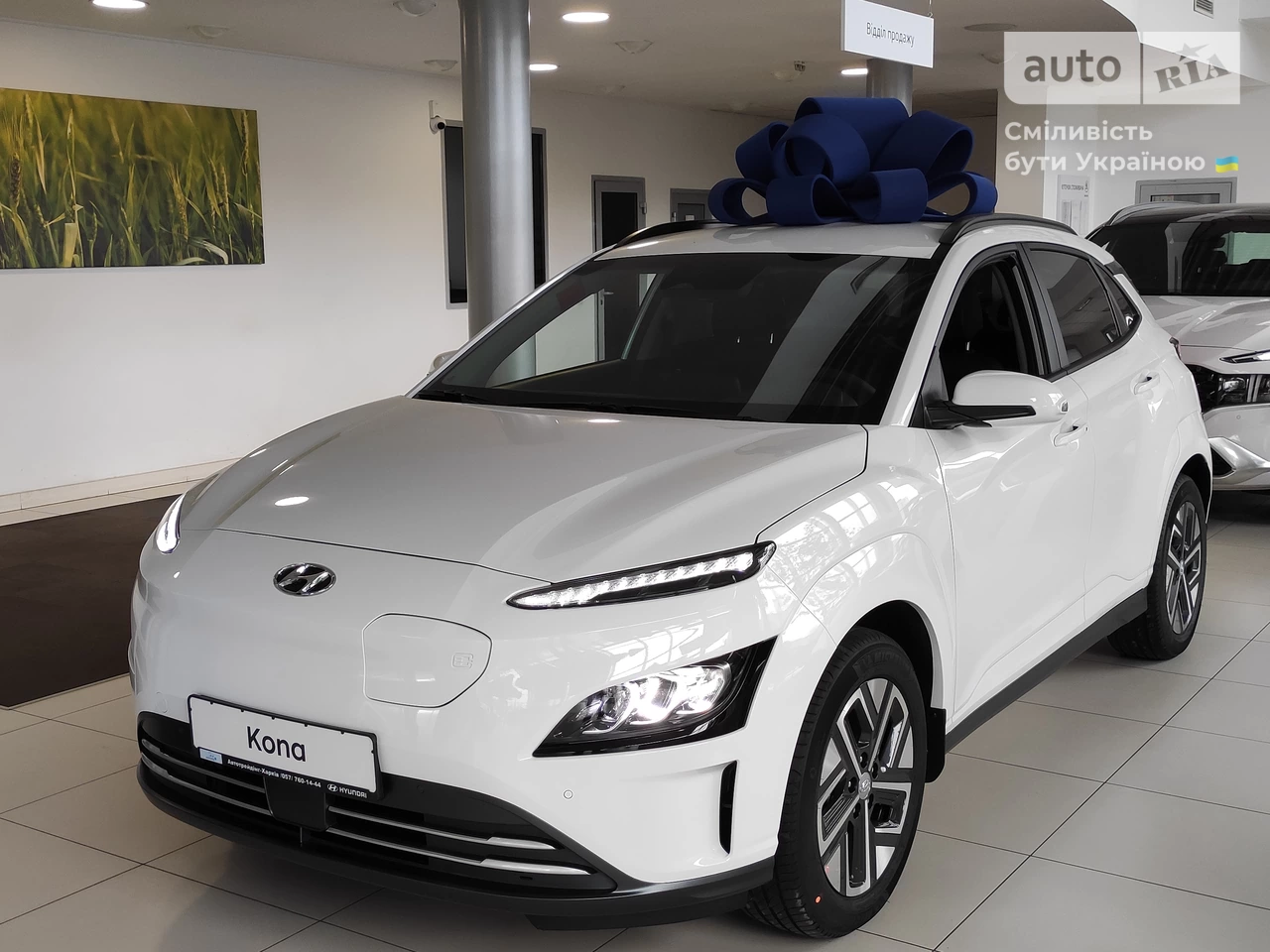 Hyundai Kona Electric Dynamic