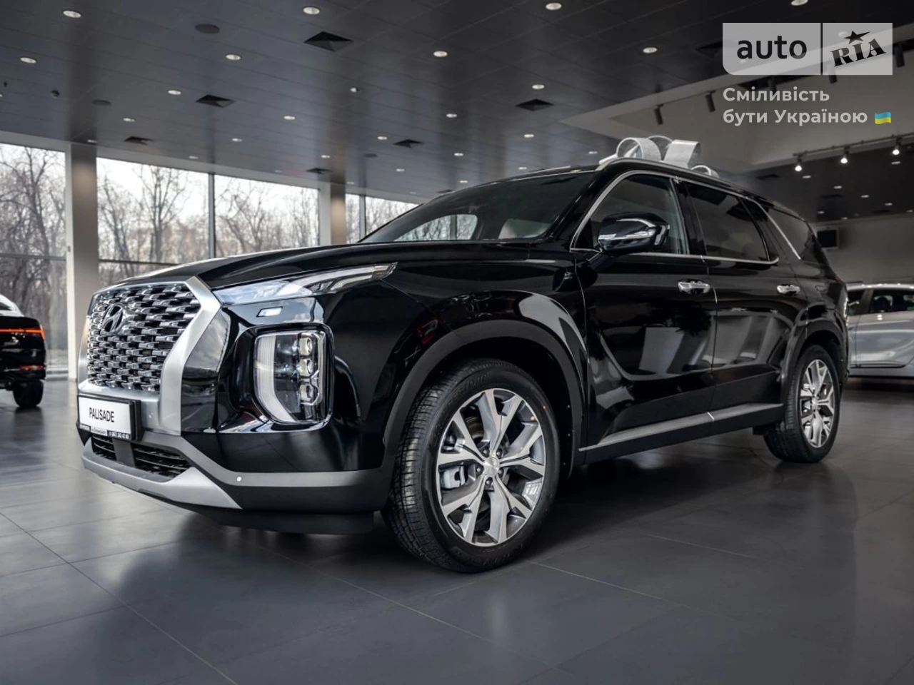 Hyundai Palisade Top