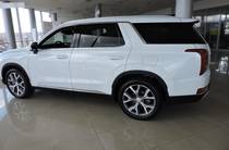 Hyundai Palisade Top