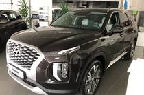 Hyundai Palisade Top