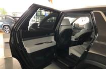 Hyundai Palisade Top