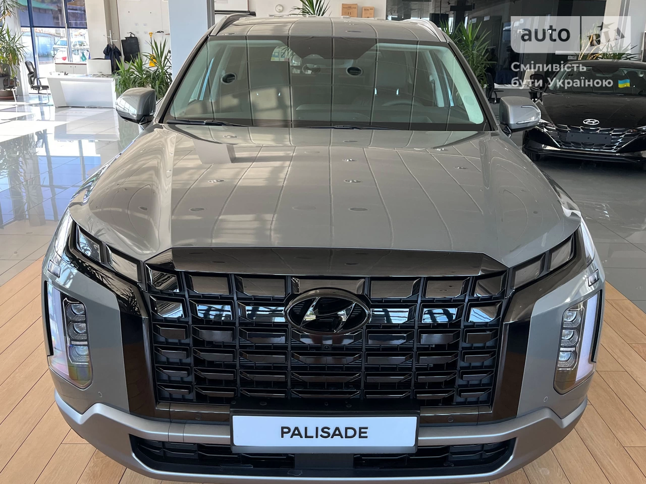 Hyundai Palisade Top