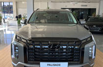 Hyundai Palisade Top