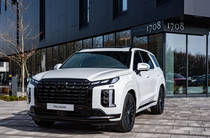 Hyundai Palisade Calligraphy