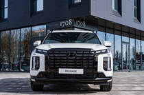 Hyundai Palisade Calligraphy