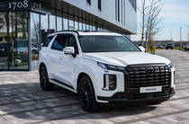 Hyundai Palisade Calligraphy