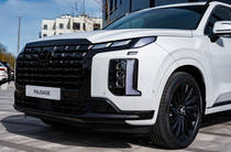 Hyundai Palisade Calligraphy