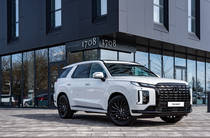 Hyundai Palisade Calligraphy