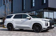 Hyundai Palisade Calligraphy