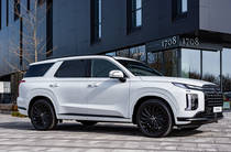 Hyundai Palisade Calligraphy