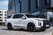 Hyundai Palisade Calligraphy