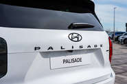 Hyundai Palisade Calligraphy