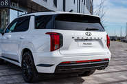 Hyundai Palisade Calligraphy