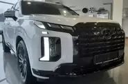 Hyundai Palisade Calligraphy