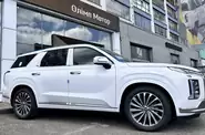 Hyundai Palisade Calligraphy