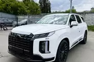 Hyundai Palisade Top
