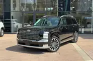 Hyundai Palisade Calligraphy