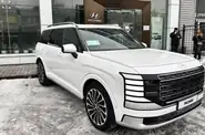 Hyundai Palisade Calligraphy