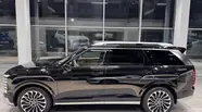 Hyundai Palisade Calligraphy