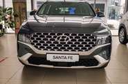 Hyundai Santa FE Top