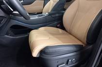 Hyundai Santa FE Top