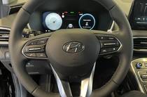 Hyundai Santa FE Top