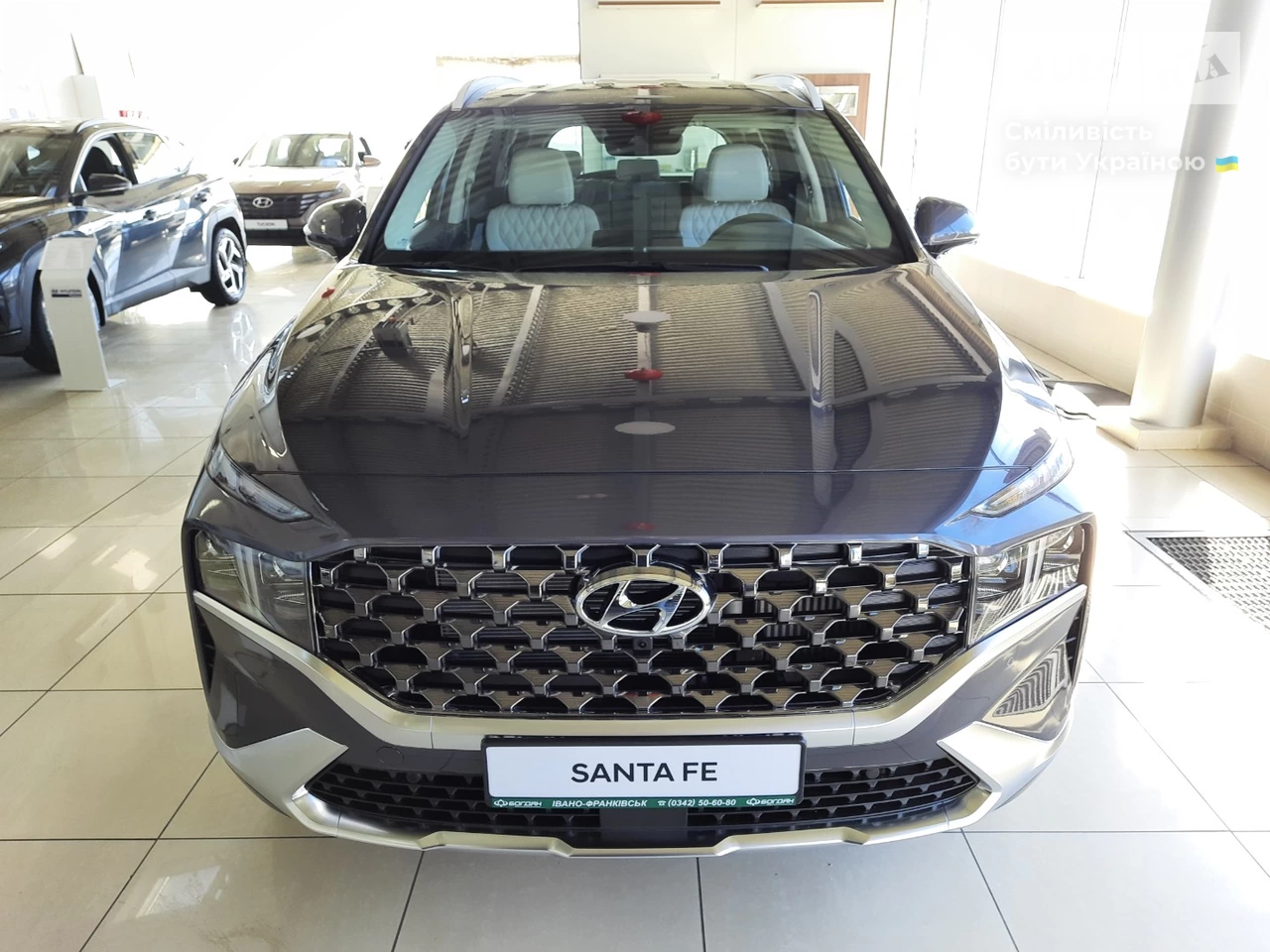 Hyundai Santa FE Top