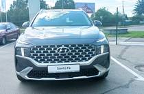 Hyundai Santa FE Top