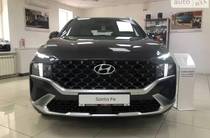 Hyundai Santa FE Top