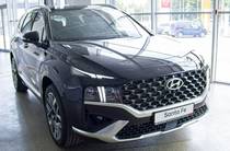 Hyundai Santa FE Top