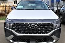 Hyundai Santa FE Top