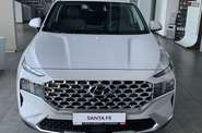 Hyundai Santa FE Top