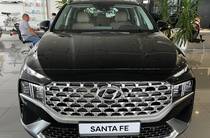 Hyundai Santa FE Top