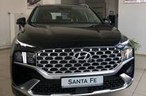 Hyundai Santa FE Top