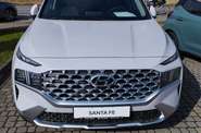 Hyundai Santa FE Top