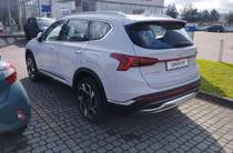 Hyundai Santa FE Top