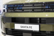 Hyundai Santa FE Top