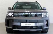 Hyundai Santa FE Top