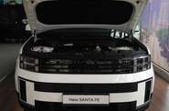 Hyundai Santa FE Top