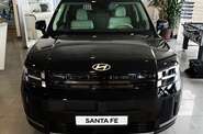 Hyundai Santa FE Top