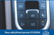 Hyundai Santa FE Top Special Panorama