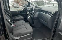 Hyundai Staria Business