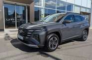 Hyundai Tucson Express