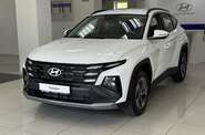 Hyundai Tucson Express