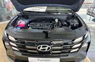Hyundai Tucson Express