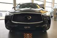 Infiniti QX50 Luxe Proassist