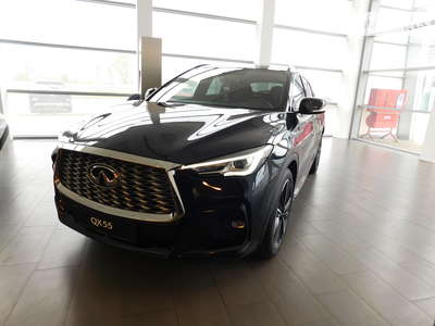 Infiniti QX55 2024 Essential ProActive