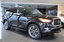 Infiniti QX80 Luxe Proactive