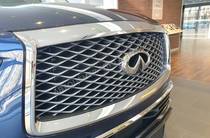 Infiniti QX80 Luxe Proactive